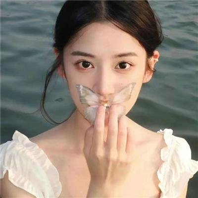 别惹白鸽之她的秘密